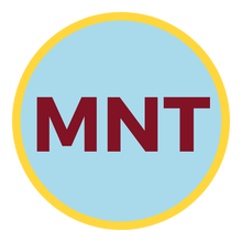 Minnesota Transform Logo